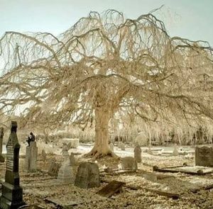 Meet your Posher, Pat